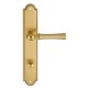 Дверная ручка на планке Extreza DEZI 309 PL03-WC-96-F07-F01-F07 матовая латунь глянец / латунь / планка матовая латунь глянец