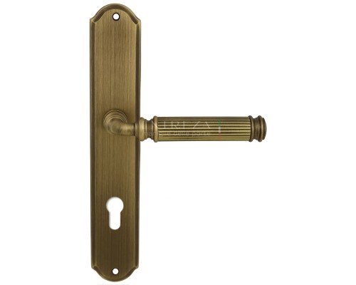 Дверная ручка на планке Extreza BENITO-PL01-CYL85-F03 (BENITO 307) матовая бронза Дверная ручка на планке Extreza BENITO-PL01-CYL85-F03 (BENITO 307) матовая бронза