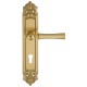 Дверная ручка на планке Extreza DEZI 309 PL02-CYL-85-F07-F01-F07 матовая латунь глянец / латунь / планка матовая латунь глянец