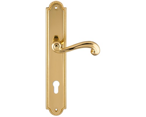 Дверная ручка на планке Extreza BERTA-PL03-CYL-85-F01 (BERTA 312) полированная латунь Дверная ручка на планке Extreza BERTA-PL03-CYL-85-F01 (BERTA 312) полированная латунь