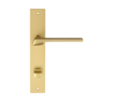 Дверная ручка на планке Extreza ERICA-PL13-WC-96-F02 (ERICA 119) матовая латунь
