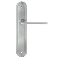 Дверная ручка Extreza TERNI (Терни) 320 на планке PL05 матовый хром F05