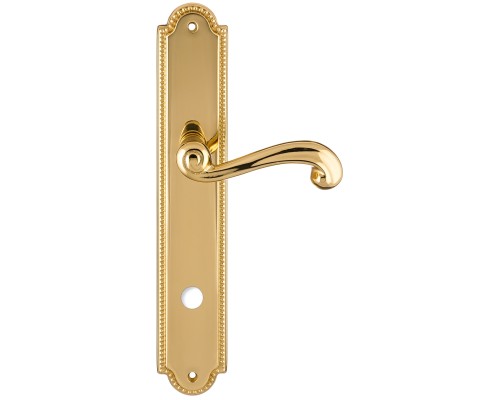 Дверная ручка на планке Extreza BERTA-PL03-WC-96-F01 (BERTA 312) полированная латунь Дверная ручка на планке Extreza BERTA-PL03-WC-96-F01 (BERTA 312) полированная латунь