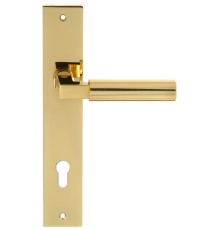 Дверная ручка на планке Extreza STEM-PL13-CYL-85-F01-F06 (STEM 135) полированная латунь / латунь PVD