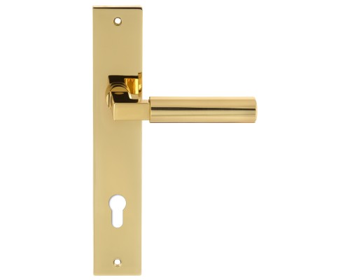 Дверная ручка на планке Extreza STEM-PL13-CYL-85-F01-F06 (STEM 135) полированная латунь / латунь PVD Дверная ручка на планке Extreza STEM-PL13-CYL-85-F01-F06 (STEM 135) полированная латунь / латунь PVD