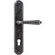 Дверная ручка на планке под цилиндр Extreza Classic PETRA 304 PL01-CYL-85 античное серебро F45