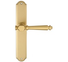 Дверная ручка Extreza VERONIKA (Вероника) 325 на планке PL01 матовая латунь / глянец F02/F07 под цилиндровый механизм CYL