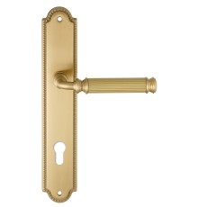 Дверная ручка на планке Extreza BENITO-PL03-CYL-85-F07 (BENITO 307) матовая латунь глянец