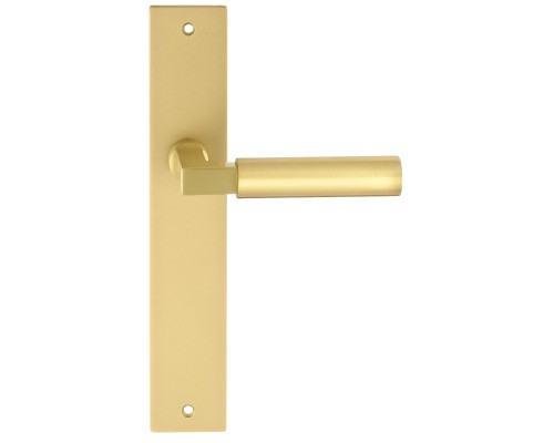 Дверная ручка на планке Extreza STEM-PL13-F07-F02 (STEM 135) матовая латунь глянец / матовая латунь Дверная ручка на планке Extreza STEM-PL13-F07-F02 (STEM 135) матовая латунь глянец / матовая латунь