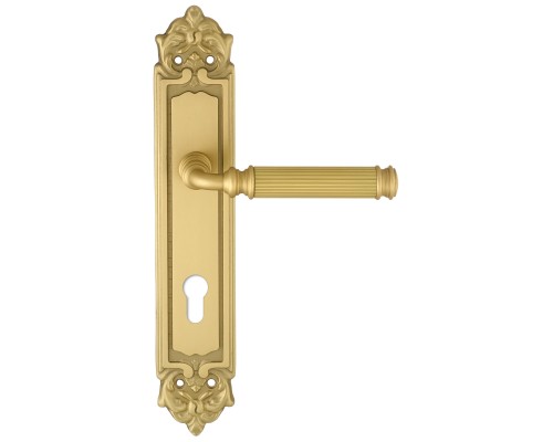 Дверная ручка на планке Extreza BENITO-PL02-CYL85-F02 (BENITO 307) матовая латунь Дверная ручка на планке Extreza BENITO-PL02-CYL85-F02 (BENITO 307) матовая латунь