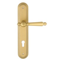 Дверная ручка Extreza DANIEL (Даниел) 308 на планке PL05 матовая латунь F02 под цилиндровый механизм CYL
