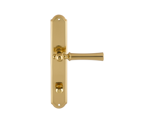 Дверная ручка на планке Extreza DEZI 309 PL01-WC-96-F01 полированная латунь Дверная ручка на планке Extreza DEZI 309 PL01-WC-96-F01 полированная латунь