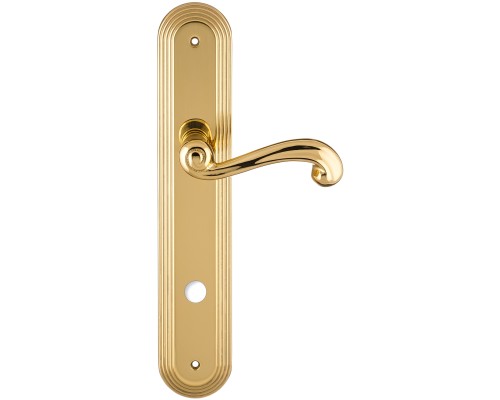 Дверная ручка на планке Extreza BERTA-PL05-WC-96-F01 (BERTA 312) полированная латунь Дверная ручка на планке Extreza BERTA-PL05-WC-96-F01 (BERTA 312) полированная латунь