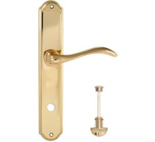 Дверная ручка на планке Extreza AGATA-PL01-WC96-F01 (AGATA 310) полированная латунь