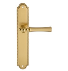 Дверная ручка на планке Extreza DEZI 309 PL03-F07-F01-F07 матовая латунь глянец / латунь / планка матовая латунь глянец