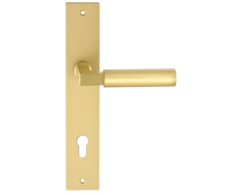 Дверная ручка на планке Extreza STEM-PL13-CYL-85-F07-F02 (STEM 135) матовая латунь глянец / матовая латунь Дверная ручка на планке Extreza STEM-PL13-CYL-85-F07-F02 (STEM 135) матовая латунь глянец / матовая латунь