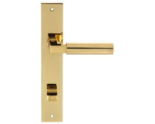 Дверная ручка на планке Extreza STEM-PL13-WC-96-F01-F06 (STEM 135) полированная латунь / латунь PVD Дверная ручка на планке Extreza STEM-PL13-WC-96-F01-F06 (STEM 135) полированная латунь / латунь PVD