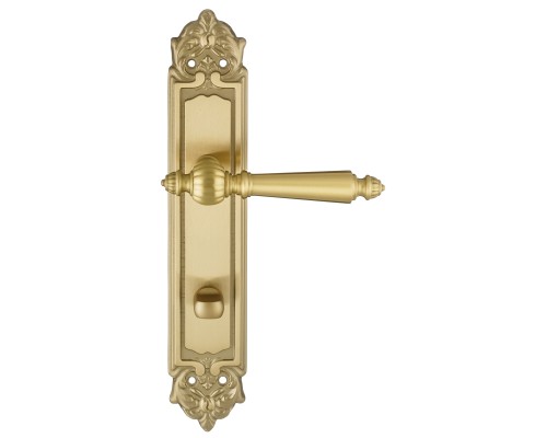 Дверная ручка на планке Extreza DANIEL-PL02-WC-96-F07 (DANIEL 308) матовая латунь глянец Дверная ручка на планке Extreza DANIEL-PL02-WC-96-F07 (DANIEL 308) матовая латунь глянец