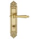 Дверная ручка на планке Extreza DANIEL-PL02-WC-96-F07 (DANIEL 308) матовая латунь глянец