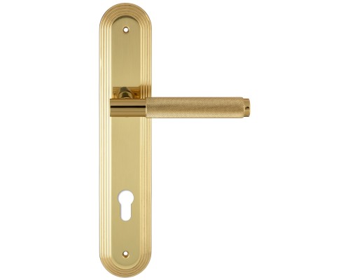 Дверная ручка на планке под цилиндр Extreza Classic TUBA 126 PL05-CYL-85 полированная латунь F01