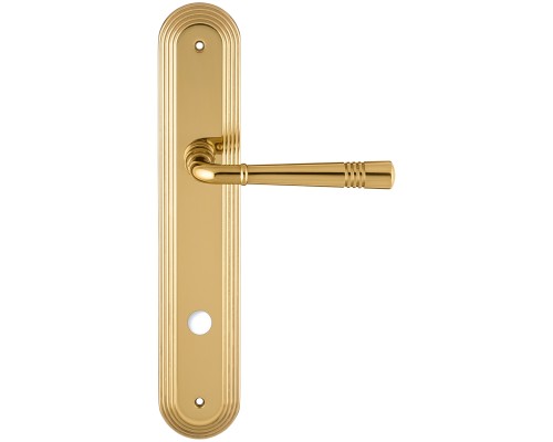 Дверная ручка на планке Extreza GUSTO 334 PL05-WC-96 полированная латунь F01 Дверная ручка на планке Extreza GUSTO 334 PL05-WC-96 полированная латунь F01