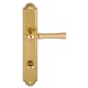 Дверная ручка на планке Extreza DEZI 309 PL05-WC-96-F07-F01 матовая латунь глянец / латунь / планка латунь
