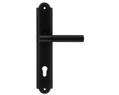 Дверная ручка на планке Extreza TUBA-PL03-CYL85-F22 (TUBA 126) черный матовый