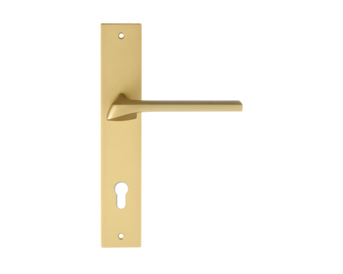 Дверная ручка на планке Extreza ERICA-PL13-CYL-85-F02 (ERICA 119) матовая латунь Дверная ручка на планке Extreza ERICA-PL13-CYL-85-F02 (ERICA 119) матовая латунь