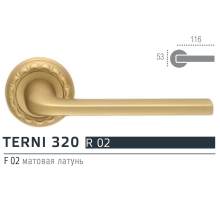 Extreza TERNI (Терни) 320 дверная ручка на розетке R02, цвет матовая латунь F02
