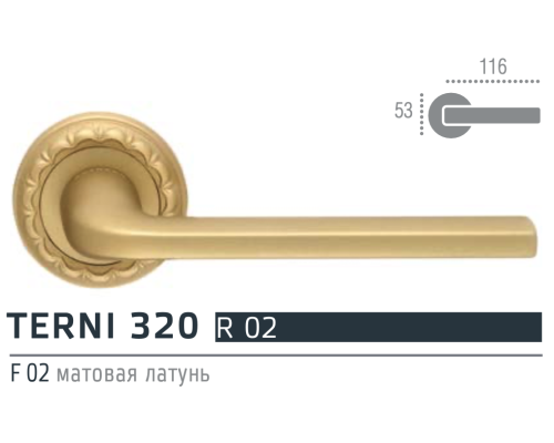 Extreza TERNI (Терни) 320 дверная ручка на розетке R02, цвет матовая латунь F02 Extreza TERNI (Терни) 320 дверная ручка на розетке R02, цвет матовая латунь F02