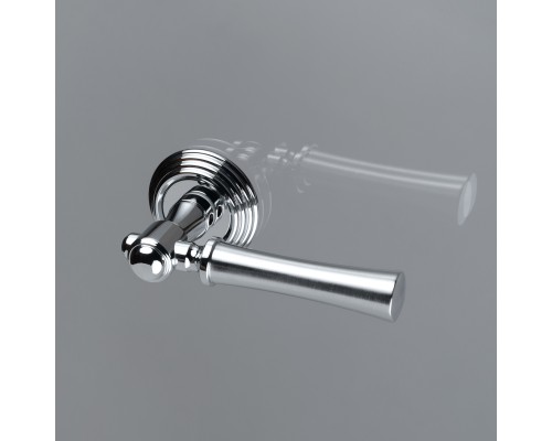 Дверная ручка на розетке Extreza DEZI-R05-F05-F04 (DEZI 309) матовый хром / хром / кольцо хром Дверная ручка на розетке Extreza DEZI-R05-F05-F04 (DEZI 309) матовый хром / хром / кольцо хром