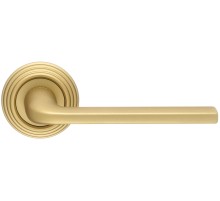 Extreza TERNI (Терни) 320 дверная ручка на розетке R05, цвет матовая латунь F02