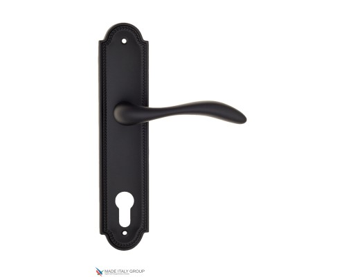 Дверная ручка на планке Fratelli Cattini LUCCIA CYL PL248-NM матовый черный Дверная ручка на планке Fratelli Cattini LUCCIA CYL PL248-NM матовый черный