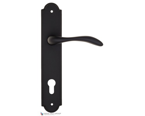 Дверная ручка на планке Fratelli Cattini LUCCIA CYL PL257-NM матовый черный Дверная ручка на планке Fratelli Cattini LUCCIA CYL PL257-NM матовый черный