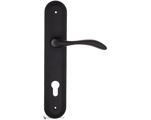 Дверная ручка на планке Fratelli Cattini LUCCIA CYL PL288-NM матовый черный Дверная ручка на планке Fratelli Cattini LUCCIA CYL PL288-NM матовый черный