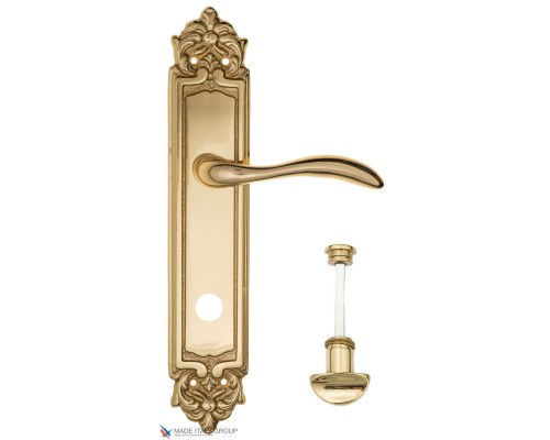 Дверная ручка на планке Fratelli Cattini LUCCIA WC-2 PL96-OLV полированная латунь Дверная ручка на планке Fratelli Cattini LUCCIA WC-2 PL96-OLV полированная латунь