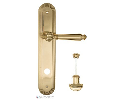 Дверная ручка на планке Fratelli Cattini MARANI WC-2 PL288-OLV полированная латунь Дверная ручка на планке Fratelli Cattini MARANI WC-2 PL288-OLV полированная латунь