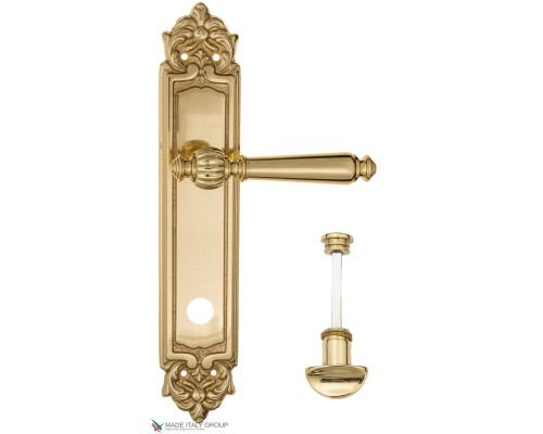 Дверная ручка на планке Fratelli Cattini MARANI WC-2 PL96-OLV полированная латунь Дверная ручка на планке Fratelli Cattini MARANI WC-2 PL96-OLV полированная латунь