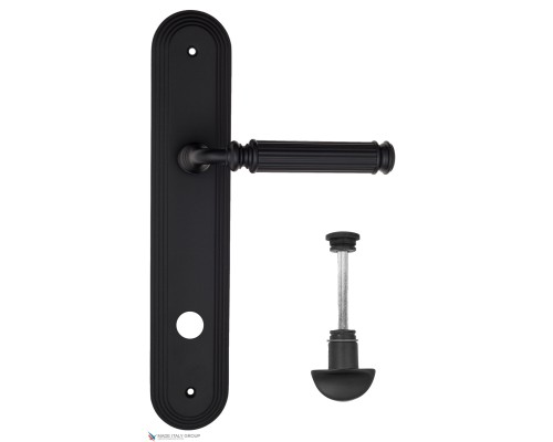 Дверная ручка на планке Fratelli Cattini ENCIA WC-2 PL288-NM матовый черный Дверная ручка на планке Fratelli Cattini ENCIA WC-2 PL288-NM матовый черный