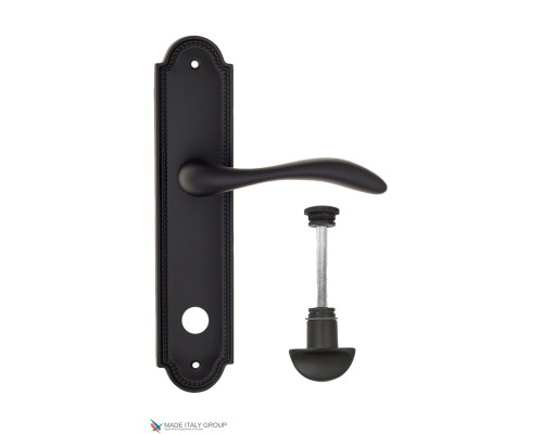 Дверная ручка на планке Fratelli Cattini LUCCIA WC-2 PL248-NM матовый черный Дверная ручка на планке Fratelli Cattini LUCCIA WC-2 PL248-NM матовый черный
