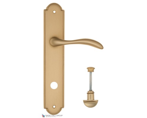 Дверная ручка на планке Fratelli Cattini LUCCIA WC-2 PL257-BS матовая латунь