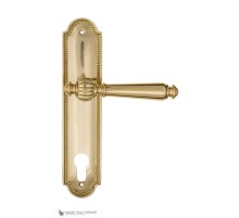 Дверная ручка на планке Fratelli Cattini MARANI CYL PL248-OLV полированная латунь