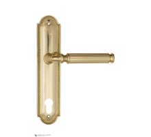Дверная ручка на планке Fratelli Cattini ENCIA CYL PL248-OLV полированная латунь