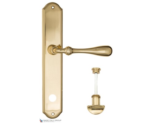 Дверная ручка на планке Fratelli Cattini RETRO WC-2 PL02-OLV полированная латунь Дверная ручка на планке Fratelli Cattini RETRO WC-2 PL02-OLV полированная латунь