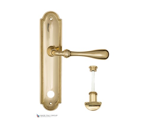 Дверная ручка на планке Fratelli Cattini RETRO WC-2 PL248-OLV полированная латунь