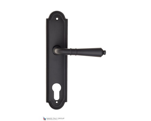 Дверная ручка на планке Fratelli Cattini TOSCANA CYL PL248-NM матовый черный Дверная ручка на планке Fratelli Cattini TOSCANA CYL PL248-NM матовый черный