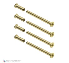 Стяжной винт COLOMBO XVITE/TFS/45 (45mm length)