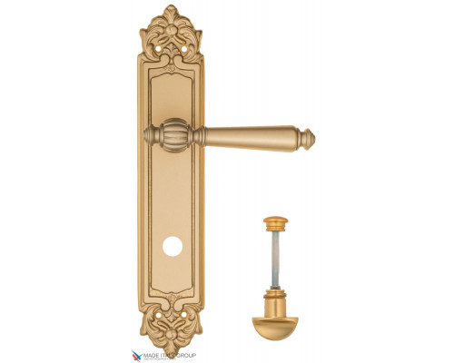 Дверная ручка на планке Fratelli Cattini MARANI WC-2 PL96-BS матовая латунь Дверная ручка на планке Fratelli Cattini MARANI WC-2 PL96-BS матовая латунь