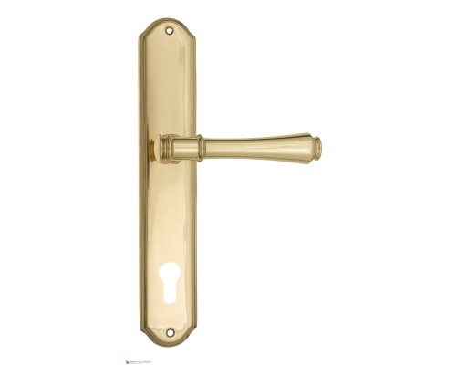 Дверная ручка на планке Fratelli Cattini PICCO CYL PL02-OLV полированная латунь