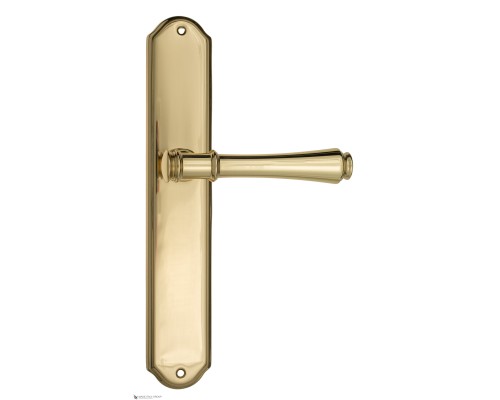 Дверная ручка на планке Fratelli Cattini PICCO PL02-OLV полированная латунь
